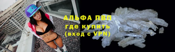 спиды Елизово