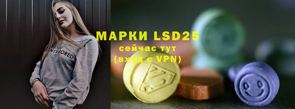 амф Елабуга
