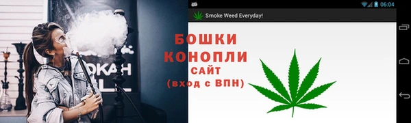 амф Елабуга
