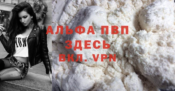 спиды Елизово