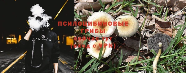 амф Елабуга