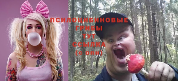 амф Елабуга