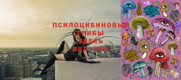 спиды Елизово