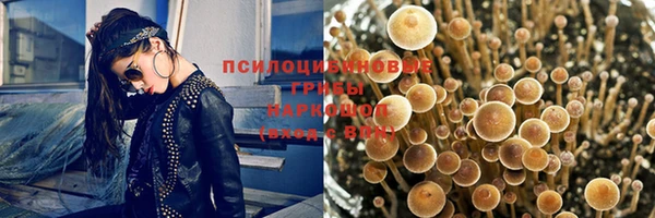 спиды Елизово