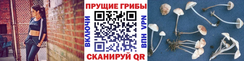 наркошоп  гидра ТОР  Галлюциногенные грибы прущие грибы  Светлый 